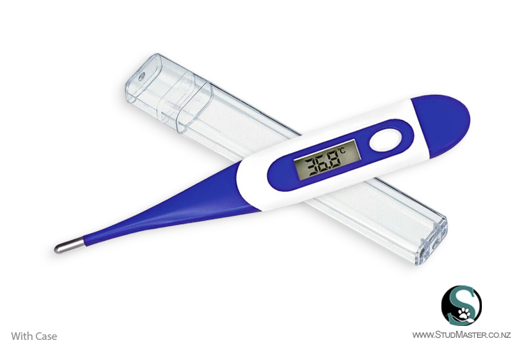 Digital Thermometer - with Case